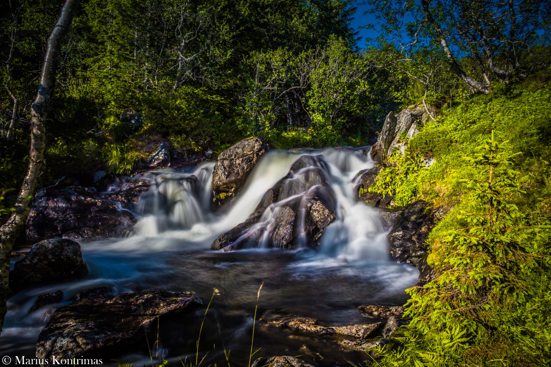 Silky waterfall running through bright green forest under clean summer light