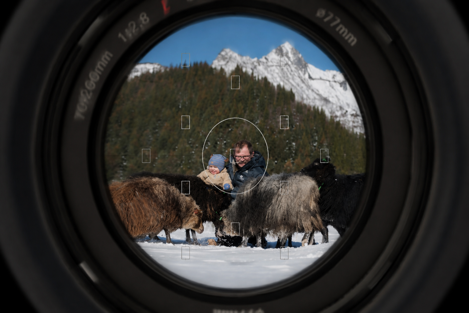 A man and child sitting among sheep in a snowy winter landscape beneath a mountain, seen through a camera lens viewfinder